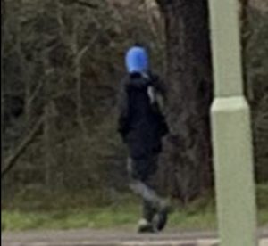 CCTV image released after schoolgirl followed by unknown man in Fawley
