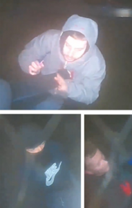 Officers investigating three attempted garage breaks in Hursley and Bishops Waltham release further CCTV images