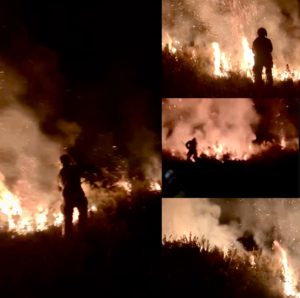 Firefighters tackling large fire in Bordon