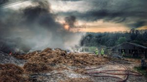 Firefighters tackle blaze involving 200 hay bales in Petersfield