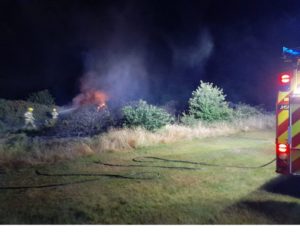 New Forest firefighters tackle gorse blaze in the early hours
