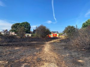 Firefighters tackle large gorse fire at Pennington Common