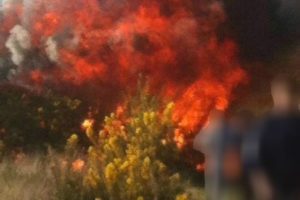 Residents evacuated due to a wildfire on Yateley Common near Blackwater