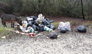 Crackdown on fly-tipping in the New Forest, by police and partners, helps to clean up