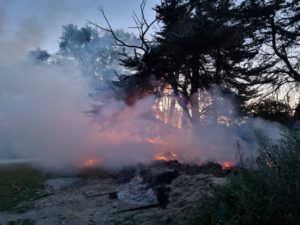 Havant firefighters tackle grass fire which spread to trees