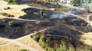 New Forest firefighters tackle grass blaze in Pennington